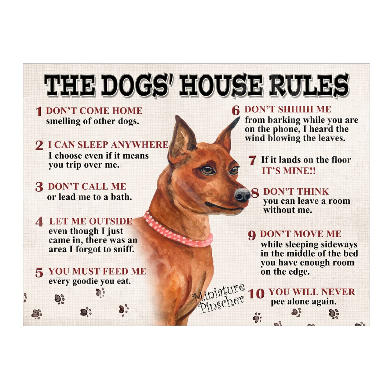 The Dog's House Rules Miniature Pinscher Metal Tin Sign Plaque Poster size 10x8in ref8624