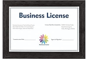 MBC MAT BOARD CENTER Professional Picture Frame for Business License, Tax Certificates,...