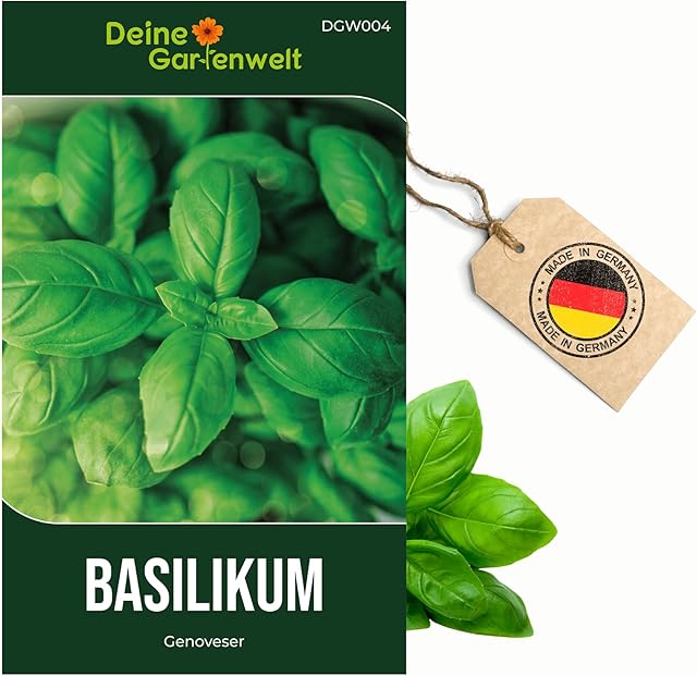 Basilikum Basilikum Ocimum basilicum Kräutersamen Saatgut — Saatgut