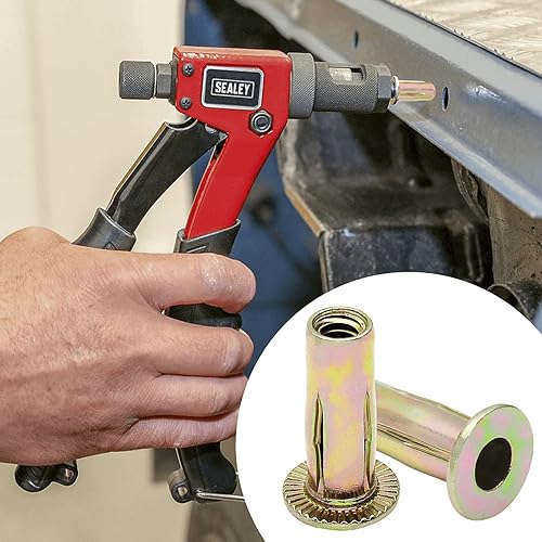 Miniatura 5 de 25 tuercas de remache de acero con agarre múltiple, vástago preabombado, cabeza plana chapada en zinc, tuercas roscadas para construcción industrial