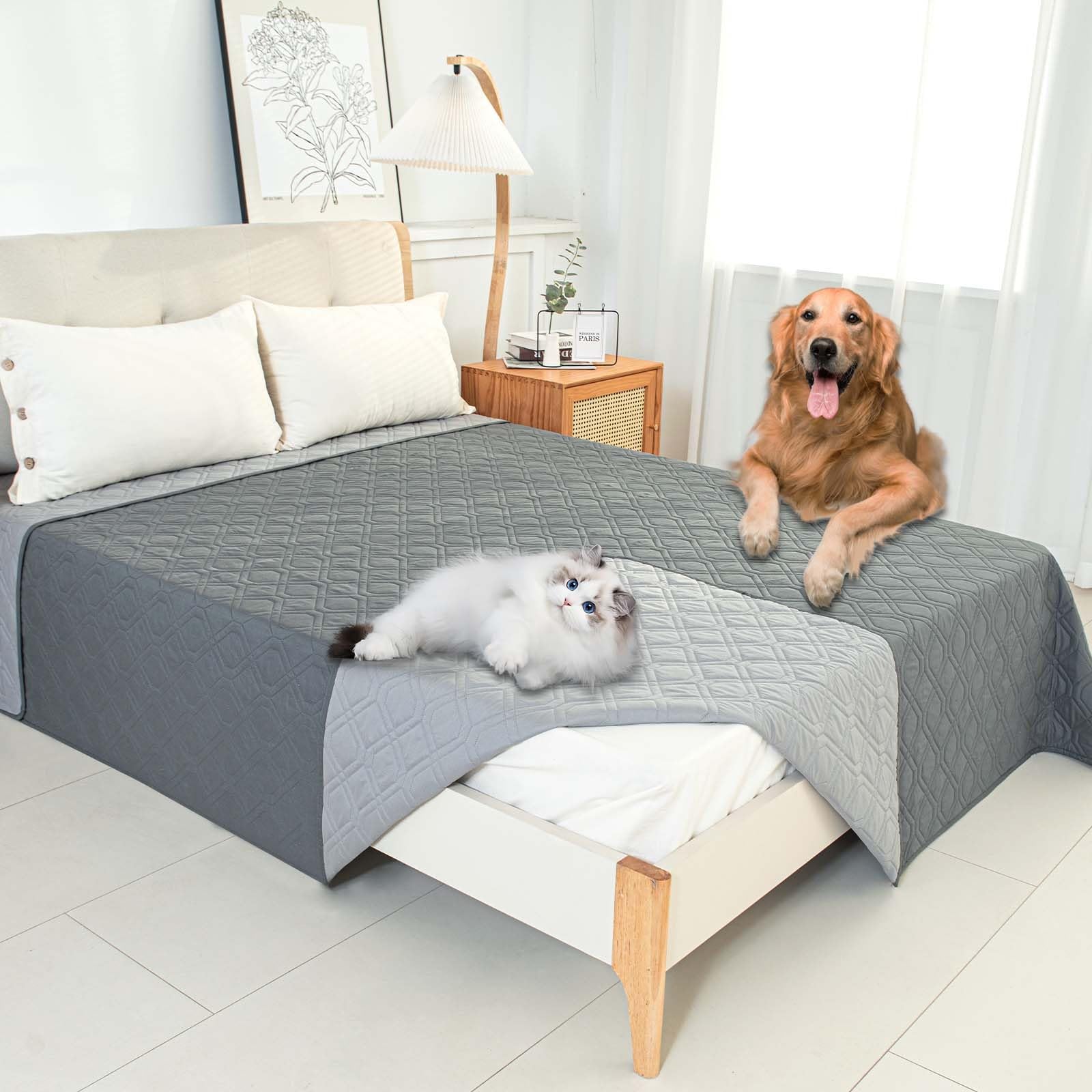 Couverture pour Chien Imperméable, Couvertures pour Chiens D'extérieur, Plaid Anti Pipi Lavable, Couverture de Protection pour Canapé, Jeté pour Chiot Résistant Aux Pipis, pour Canapé Voiture(Dark gra