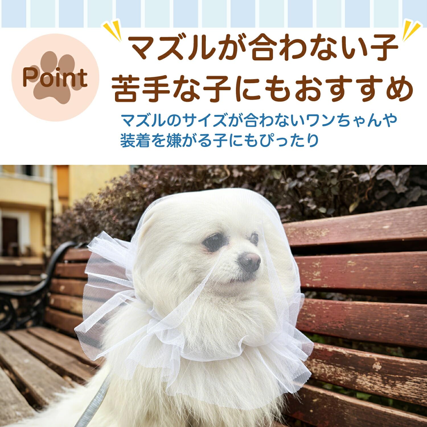 Amazon | Lifetips シュナウザー 犬 カバー ネット 拾い食い防止