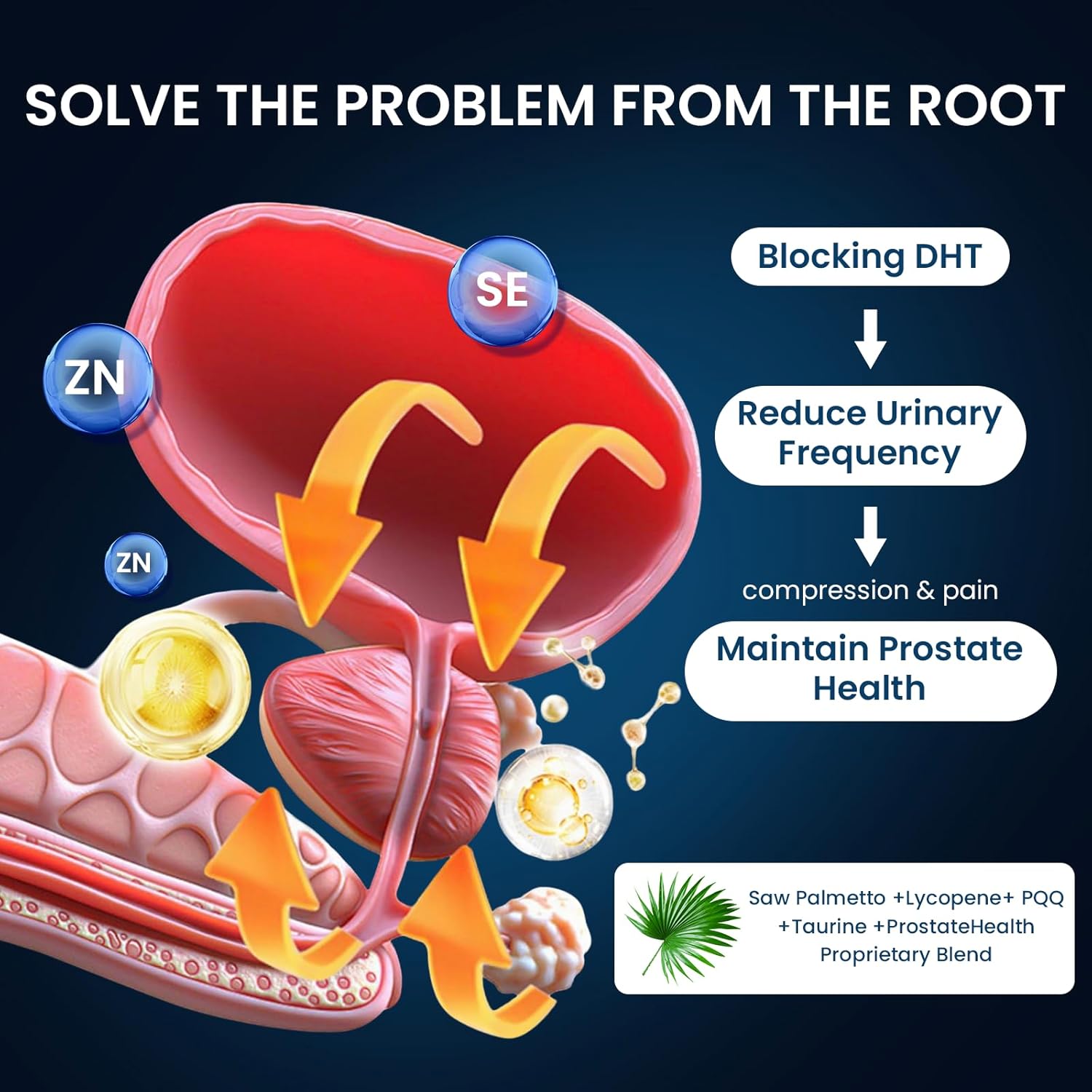 Prostate Supplement for Men – Saw Palmetto Extract Complex with Taurine & Lycopene – Advanced 3-in-1 Formula for Urinary Flow, Nighttime Control & Daily Energy Boost – 60 Vegan Capsules