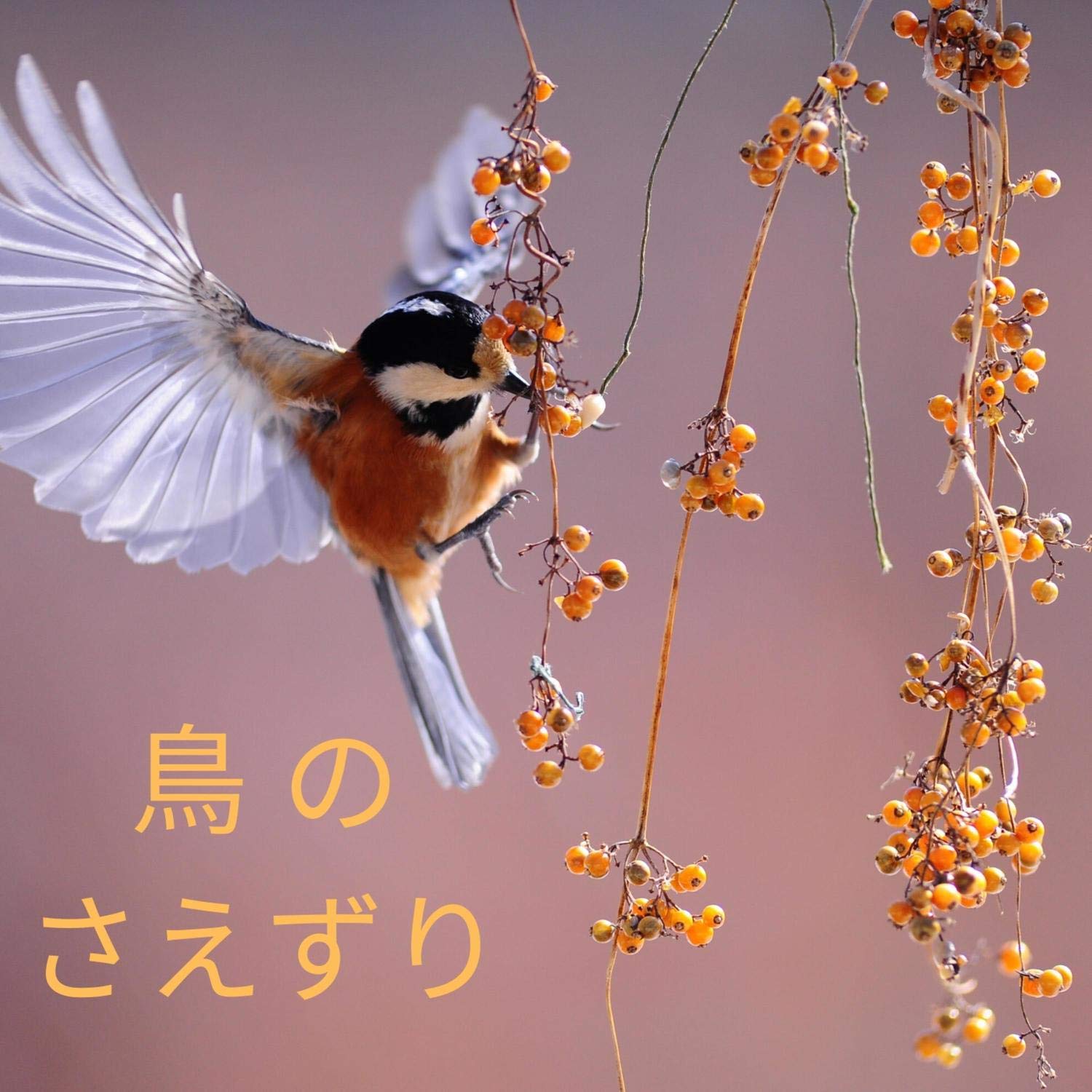 RW 森の中を歩く