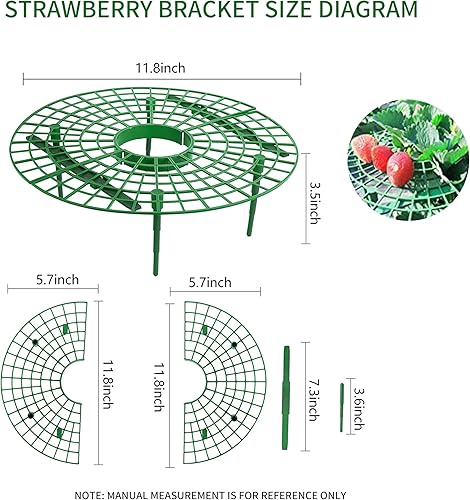 Miniatura 2 de Paquete de 10 soportes de fresa, jaula de plantas de frutas de jardín, soporte de fresas, bandeja de plástico para mantener las fresas fuera de la