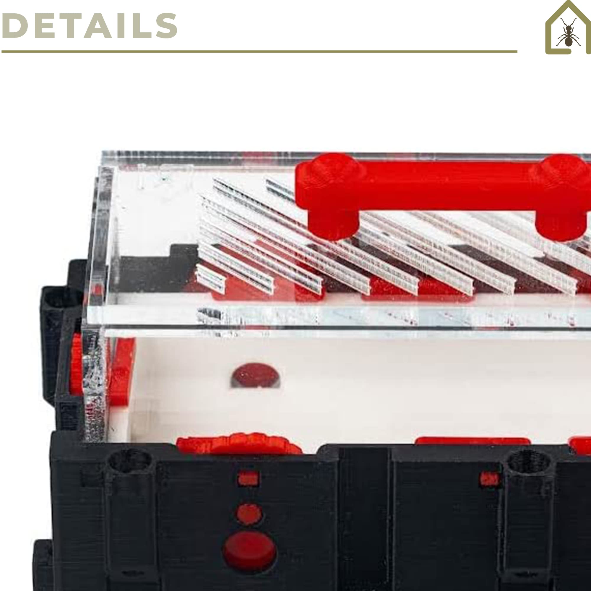 Anthouse.es - Caja de Forrajeo para Hormigueros Modulares 3D - QBIK Duo - Terrario Mini Colonias - Sistema Ergonómico y Fácil de Ampliar - 6,78x12,78x10 cm