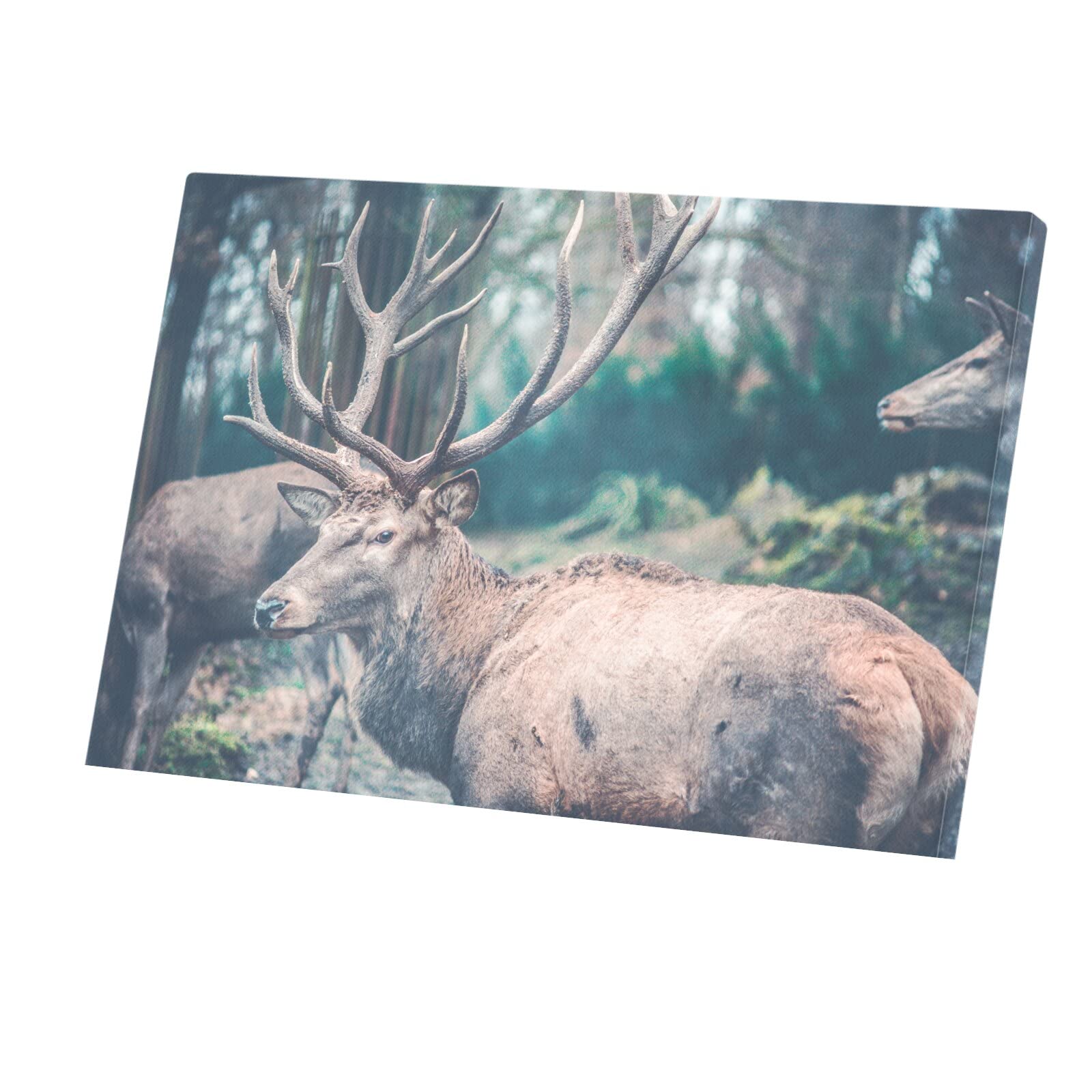 Tableau cerf en gros plan toile imprimée déco murale