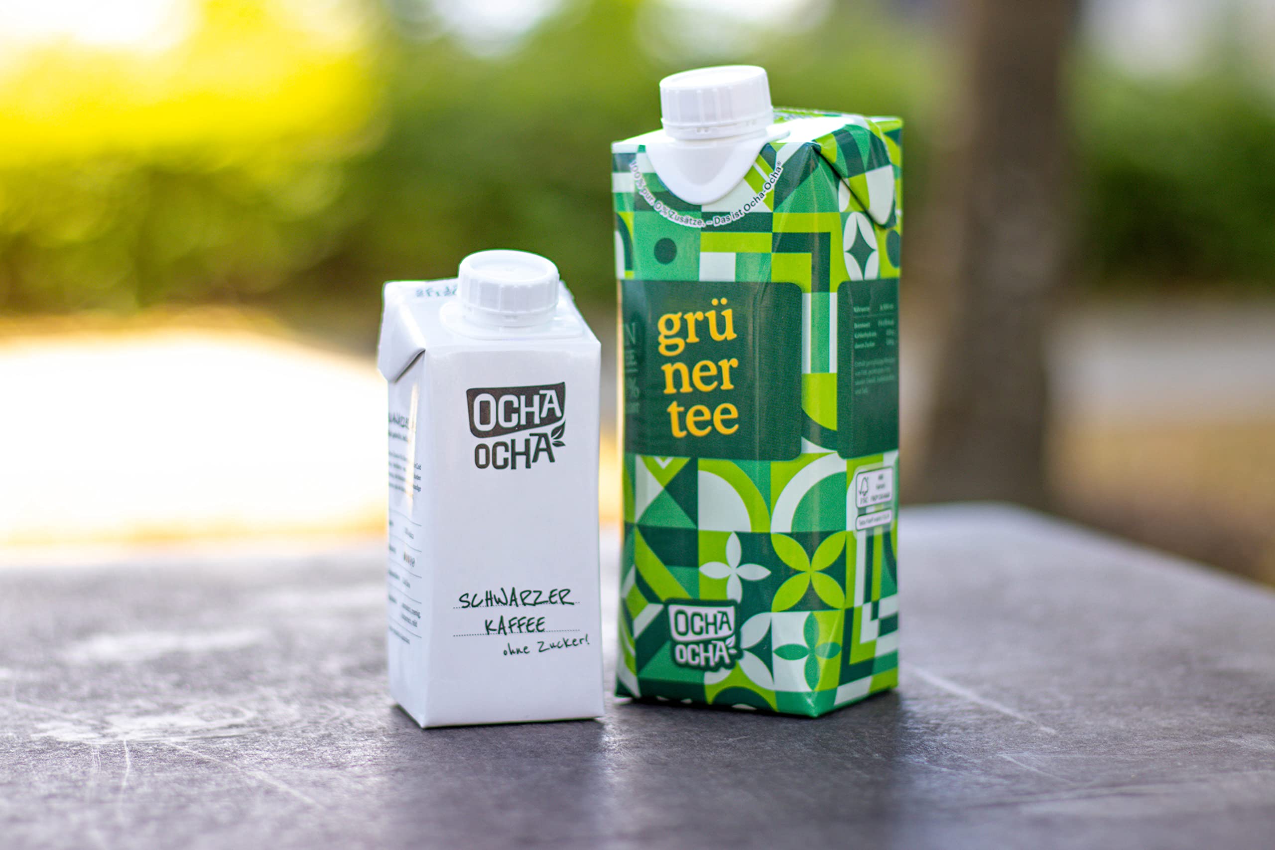 Cold Brew Tea & Coffee trinkfertig ohne Zucker - Probierpaket mit Kaffee 4x200ml + Grüntee 6x500ml - kalorienfrei - koffeinhaltig