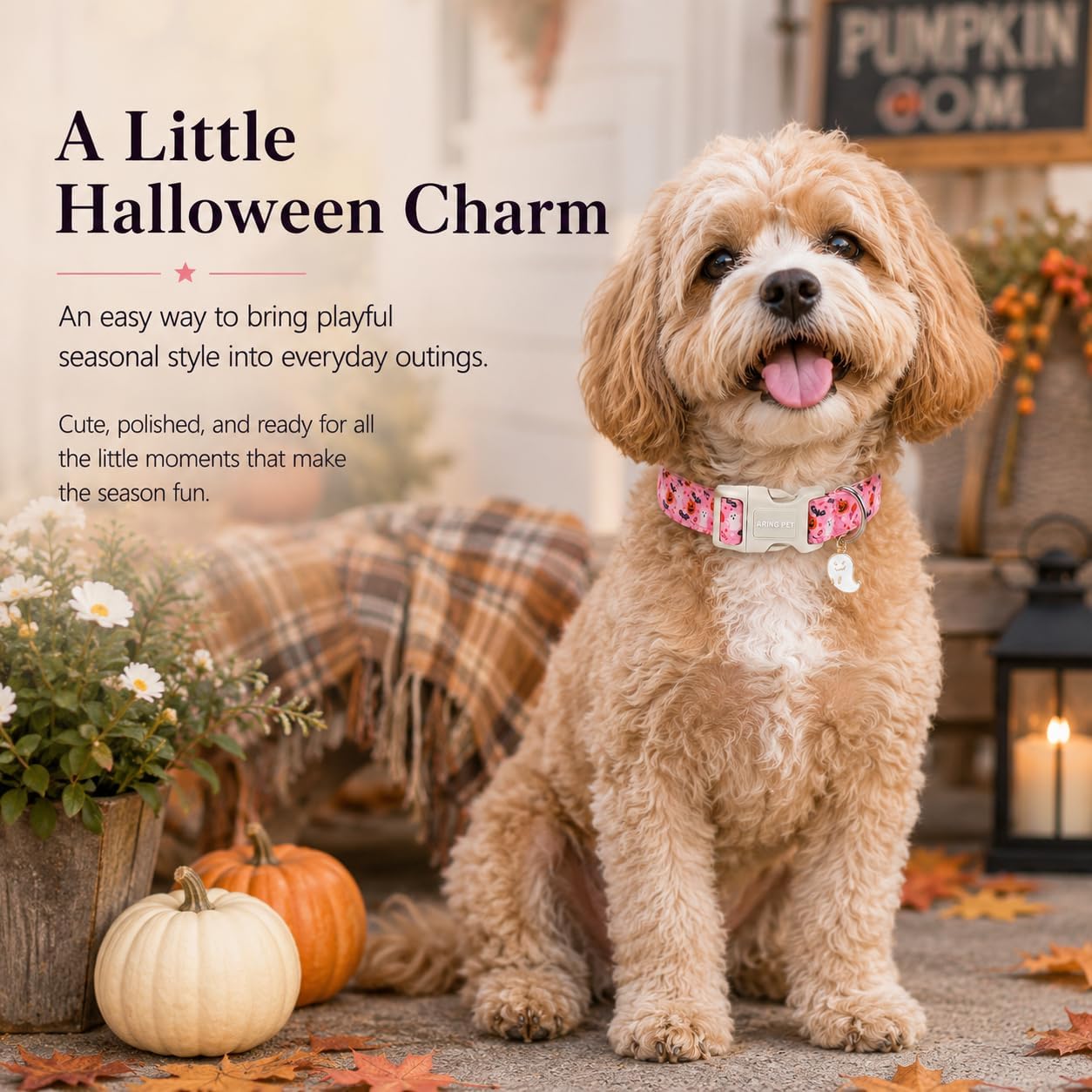 ARING PET Halloween Dog Collar for Puppy Small Medium Large Dog-Pink M image 2