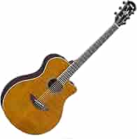 Yamaha アコースティックギター「APX600」 71WrYNoDWLL._AC_SY200_QL15_.jpg