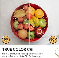 Vista 7 de Hudson Bulb Co. Bombillas LED Edison vintage, 6 W, base E26/E27, regulable equivalente a 60 W, luces blancas de luz diurna de 4000 K, estilo ST58