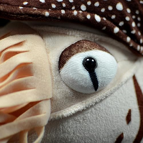 Miniatura 5 de Nautilus - Animal de peluche realista de Nautilus, juguete realista de Nautilus de 8 pulgadas, peluche suave de criaturas marinas modelo Nautilus,