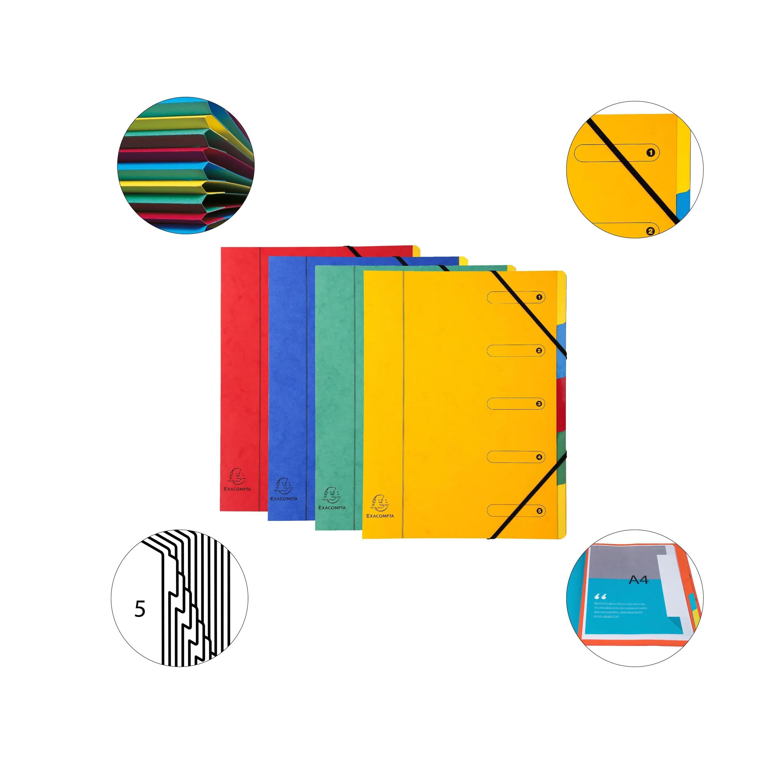 Exacompta - Réf. 5205E - Carton de 8 trieurs HARMONIKA - avec élastiques et fenêtres imprimées - couverture en carte lustrée - dos extensible - 5 compartiments - pour A4 - dim 24,5 x 32 cm - assorties