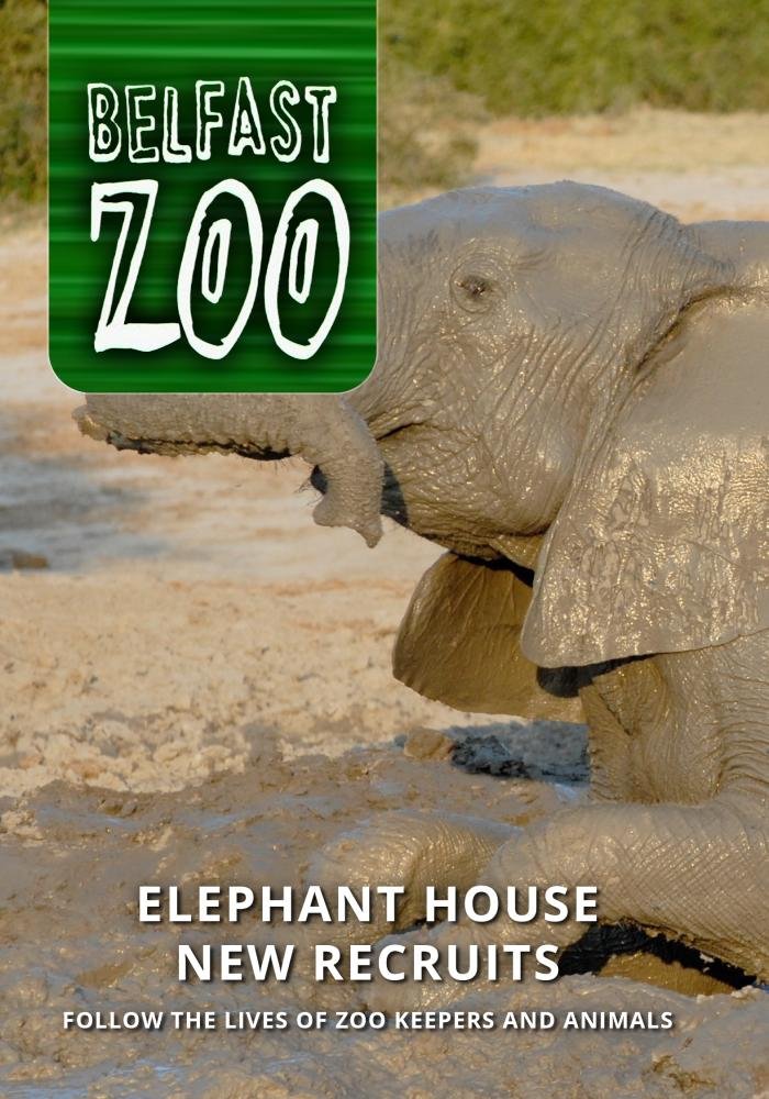 Belfast Zoo Elephant House New Recruits BBC N Ireland
