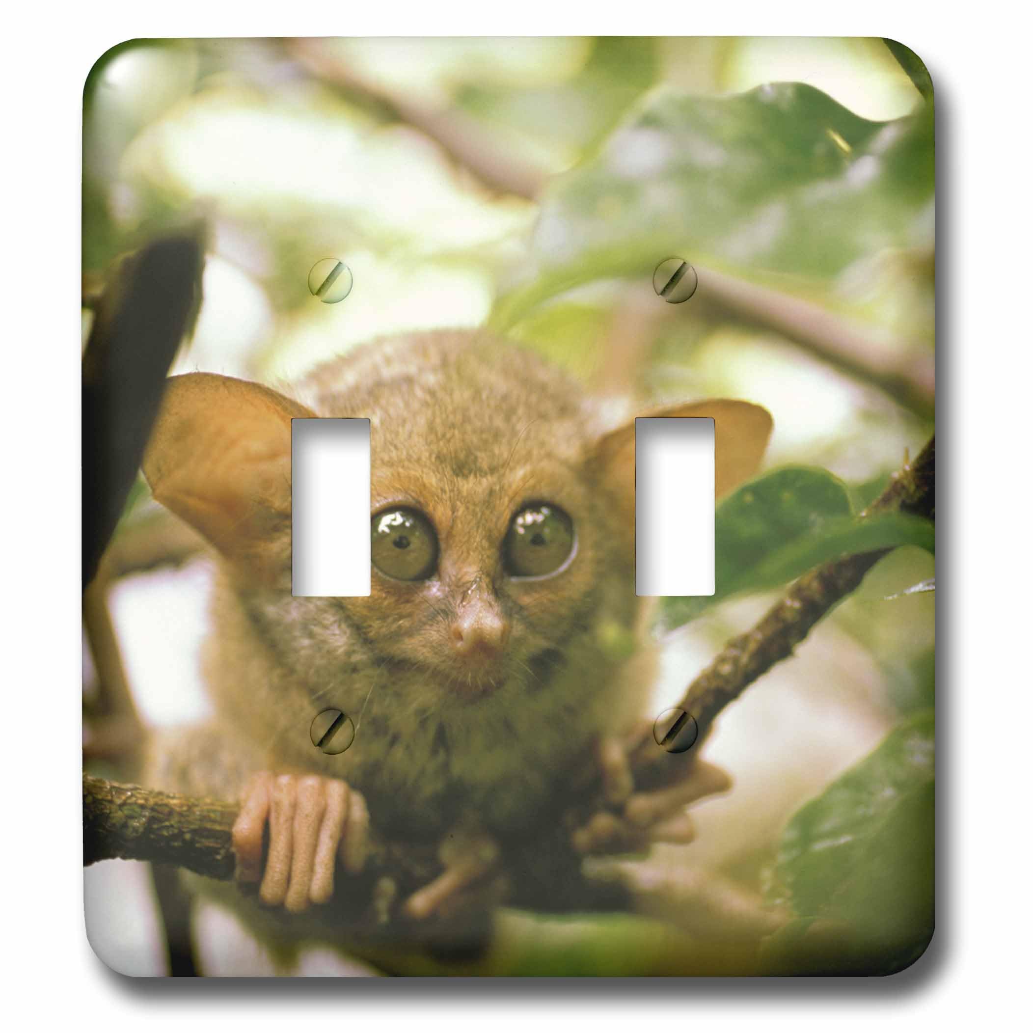 Double interrupteur Tarsier de Sulawesi pour decoration originale
