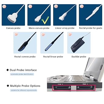 N60 Portable Veterinary Ultrasound Machine, PC-Based Ultrasound Systems, 15 High-Resolution LCD, for Dogs, Cats, and Small Animal Disease & Pregnancy Check (Micro-Convex Probe)