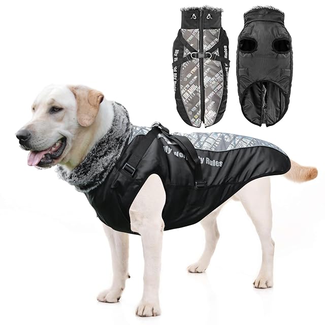 PETCUTE Abrigo Invierno Perro, Abrigo Impermeable para Perros Resistente al Viento