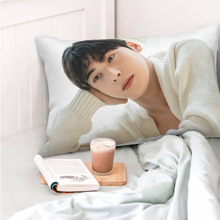 60✕40　チャウヌ枕カバー22番　ASTRO 60✕40 チャウヌ枕カバー22番 ASTRO