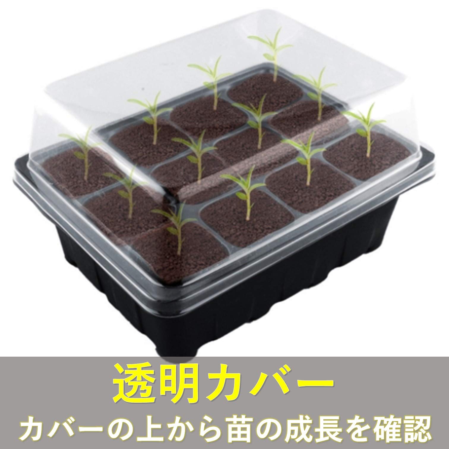 Amazon.co.jp: FMY 育苗トレー 苗床トレー 苗ポット 挿し木 ポット