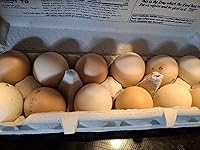 Review Image by Rose C Rose C