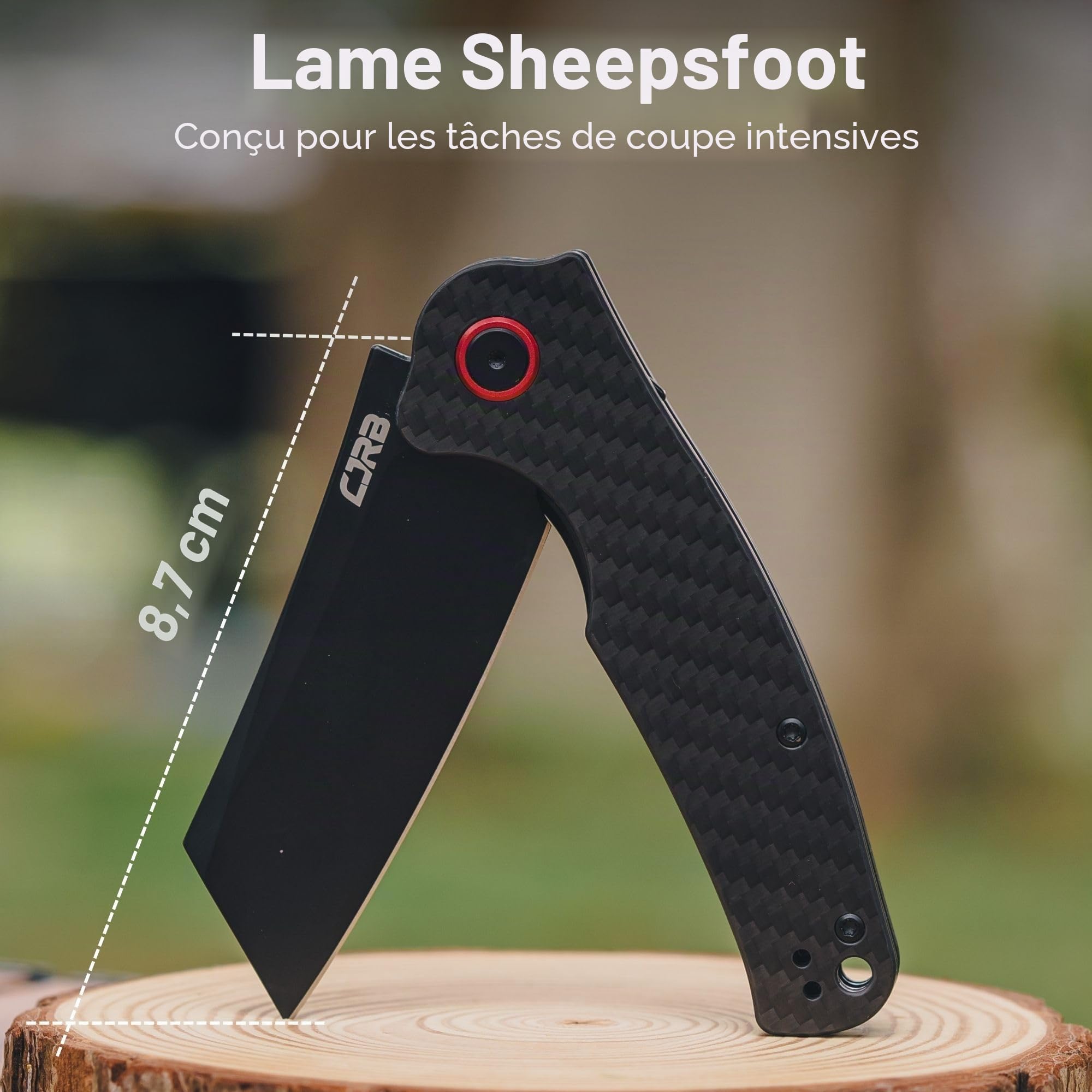 CJRB Crag Folding Pocket Knife, 8.2cm AR-RPM9 Steel Blade Carbon Fiber Handle EDC Knife with Pocket Clip for Men Women Camping Survival Hiking, Black (J1904)