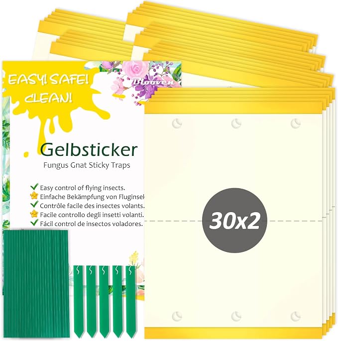 42Pcs Pièges À Insectes Pièges Engluées Autocollants Colle Double-Face 42Pcs Pièges À Insectes Pièges Engluées Autocollants Colle Double-Face