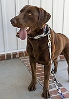 Vista 2 de Country Brook Petz - Collar para perro Martingala Urban Camo - Colección de camuflaje con diseños resistentes (1 pulgada, mediano)