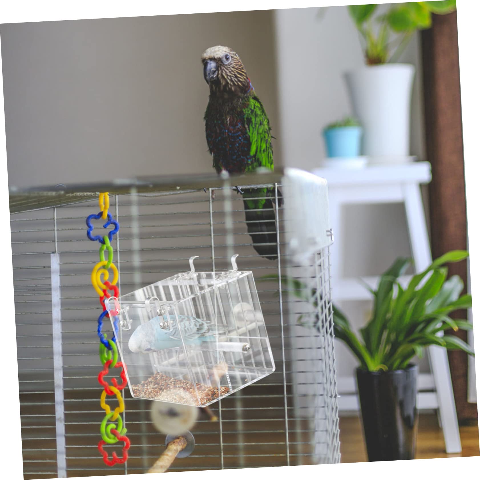 Mangeoire Automatique pour Cage à Oiseaux en Plastique Acrylique
