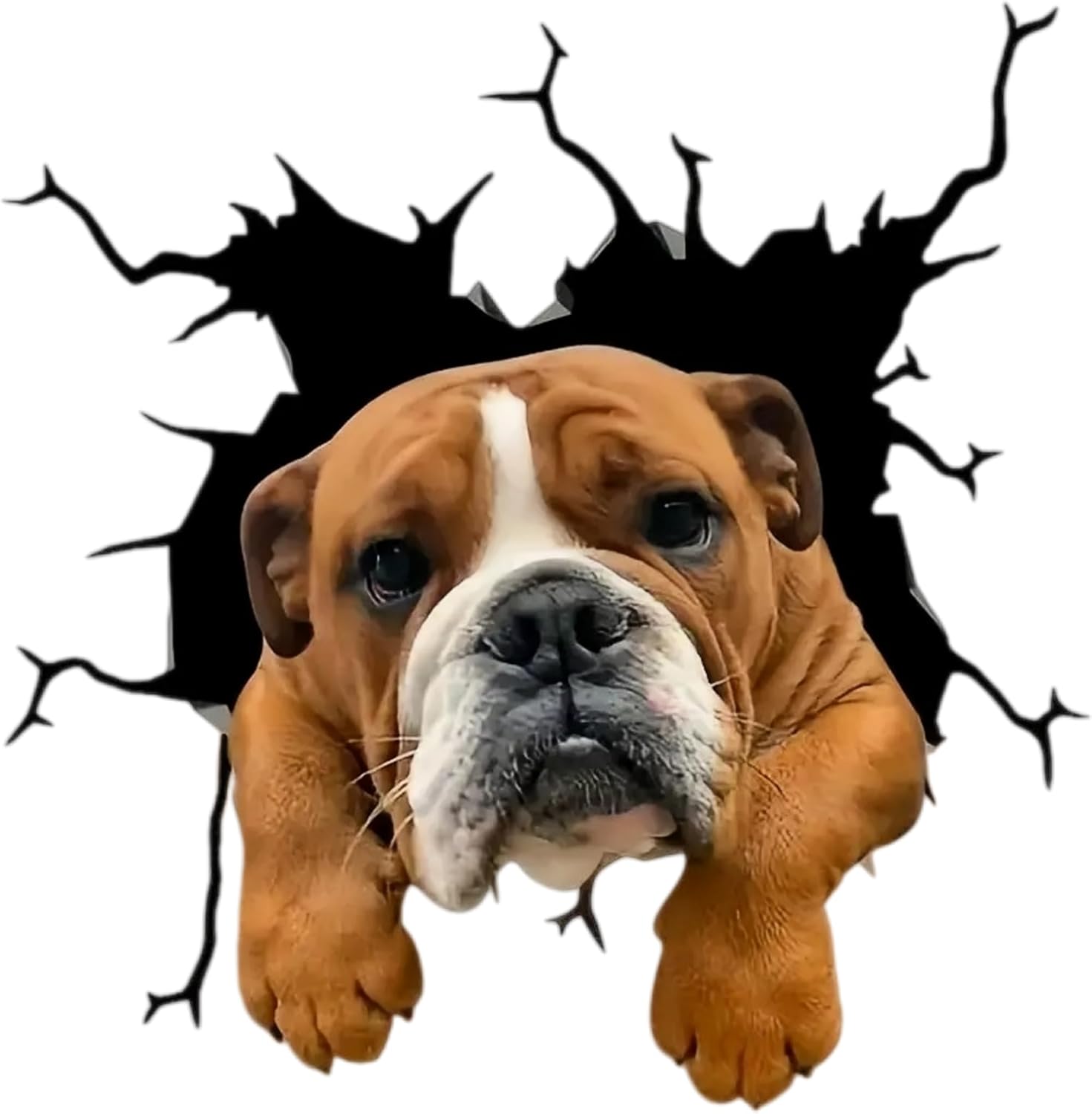 Waterproof English Bulldog Car Stickers – Glossy Vinyl car Decals, Durable Bumper Stickers and Decals for Vehicles for Cars, SUVs, Motorcycles, Laptops, Suitcases, Tablets, 2 Pack