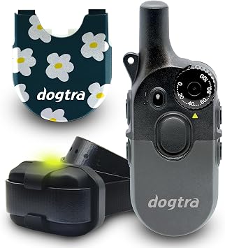 Dogtra 200iQ Remote Training E-Collar Gray with Flower Power Case 100 Levels, Tone, Vibration, 1/2 Mile Range Compact, Waterproof, One-Handed Control for Dogs 10 lbs+