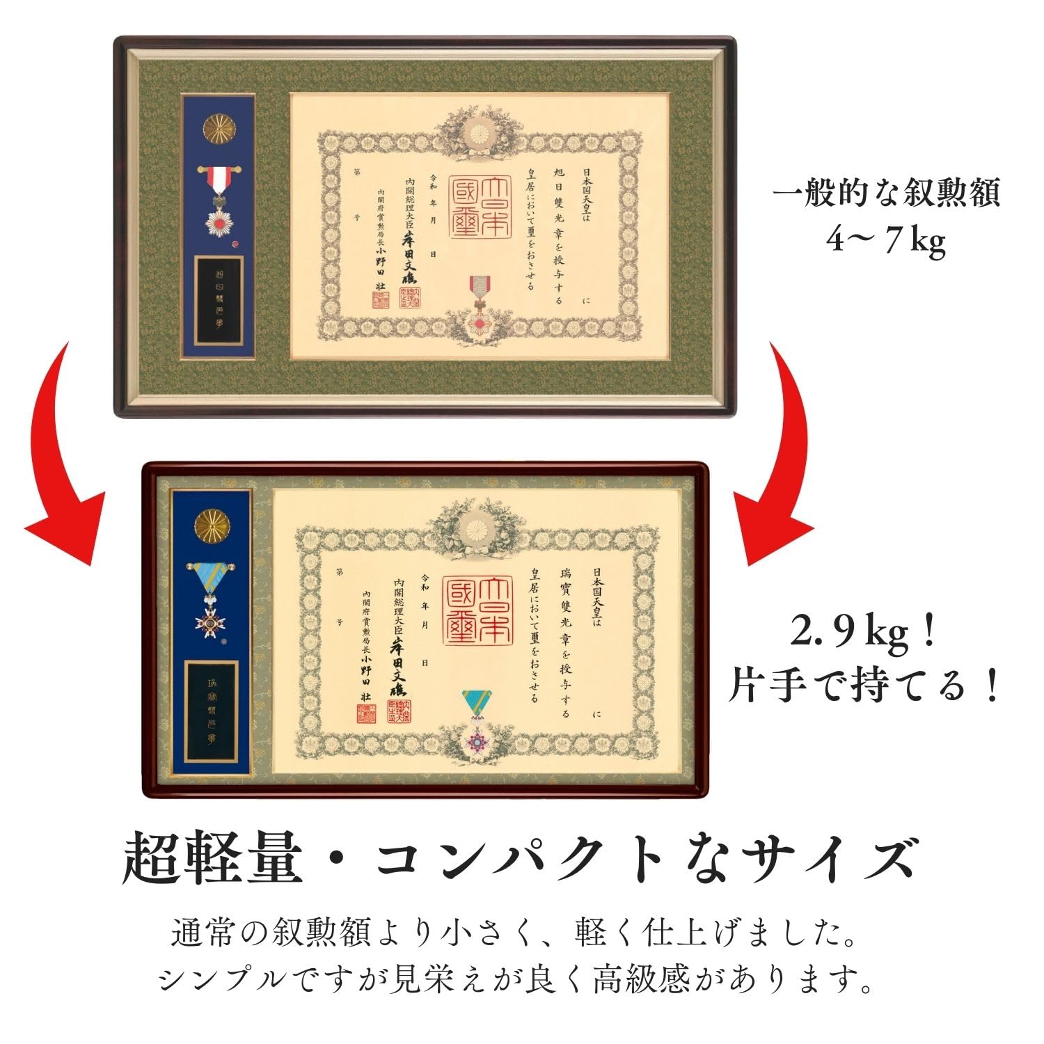 Amazon.co.jp: 叙勲額 超コンパクト 超軽量タイプ 勲章ケース収納