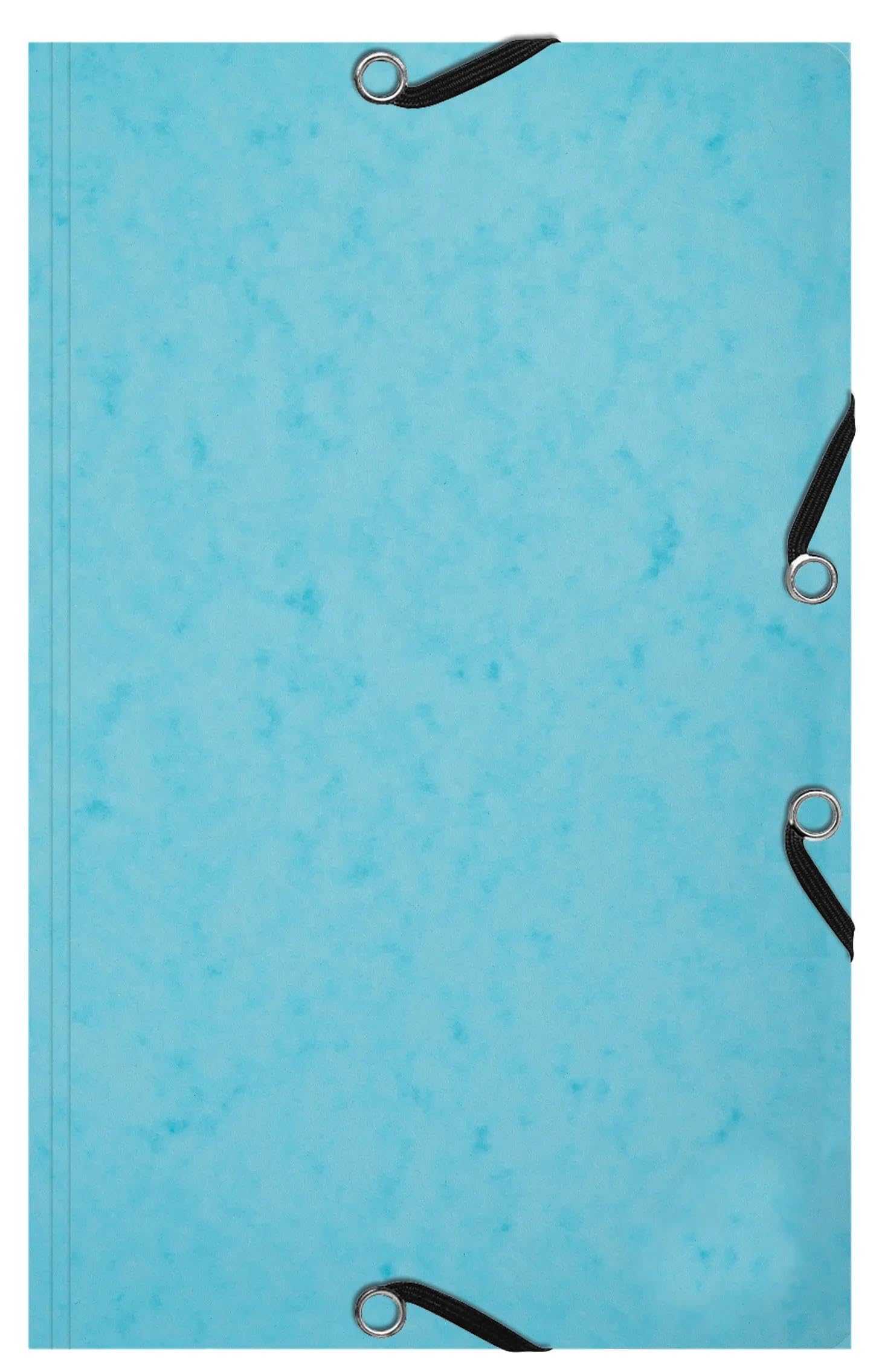 Exacompta 10 Sammelmappen mit Gummiband 14,5 x 22 cm + 25 Karteikarten