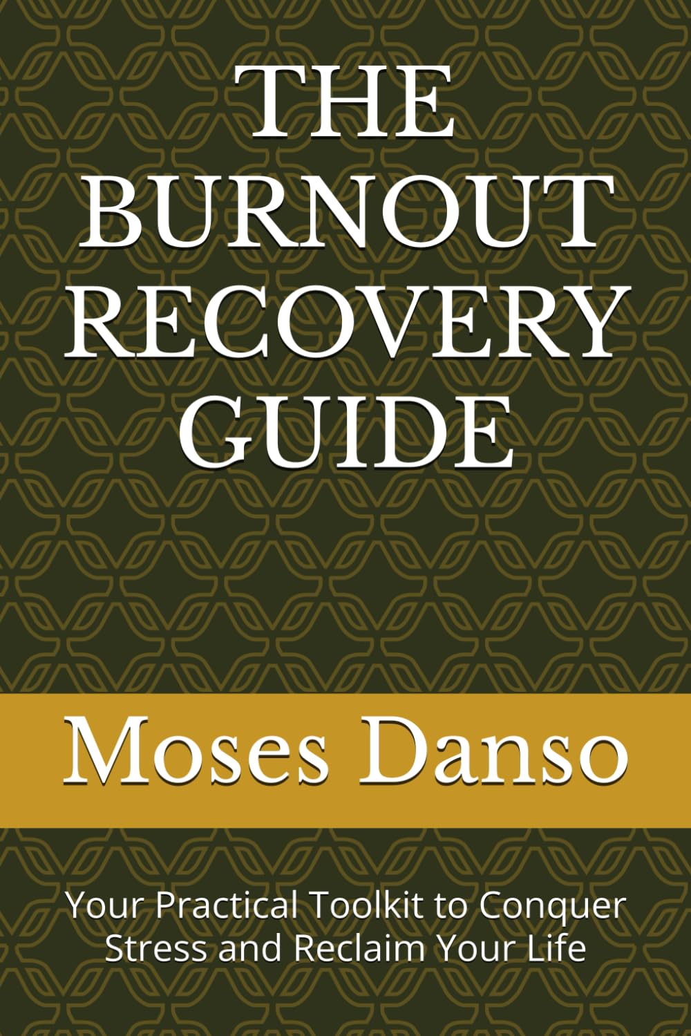 THE BURNOUT RECOVERY GUIDE: Your Practical Toolkit to Conquer Stress and Reclaim Your Life