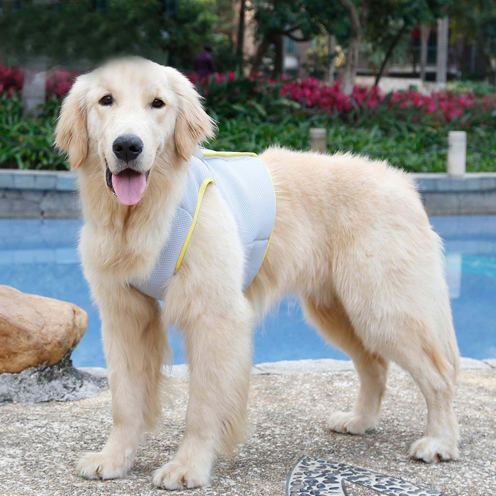 Hund Kühlgeschirr Sommer Mesh Verstellbar Hund Kühlweste Jacke Outdoor Sonnenfest Haustier Mäntel für Kleine Mittlere Große Hunde (XL)