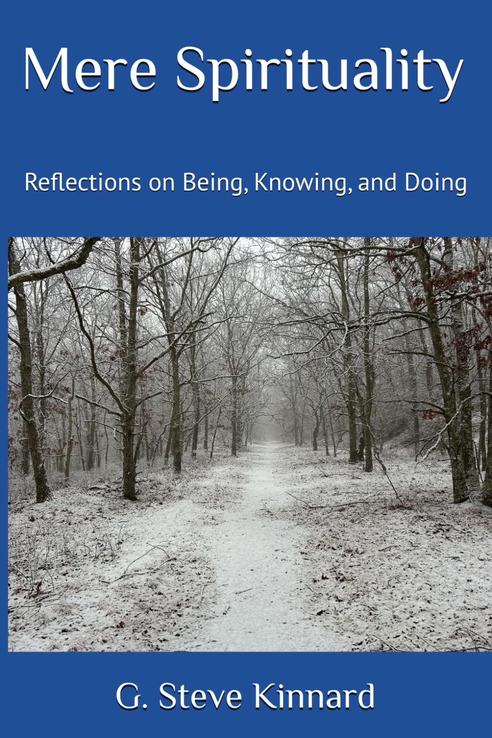 Mere Spirituality: Reflections on Being, Knowing, and Doing