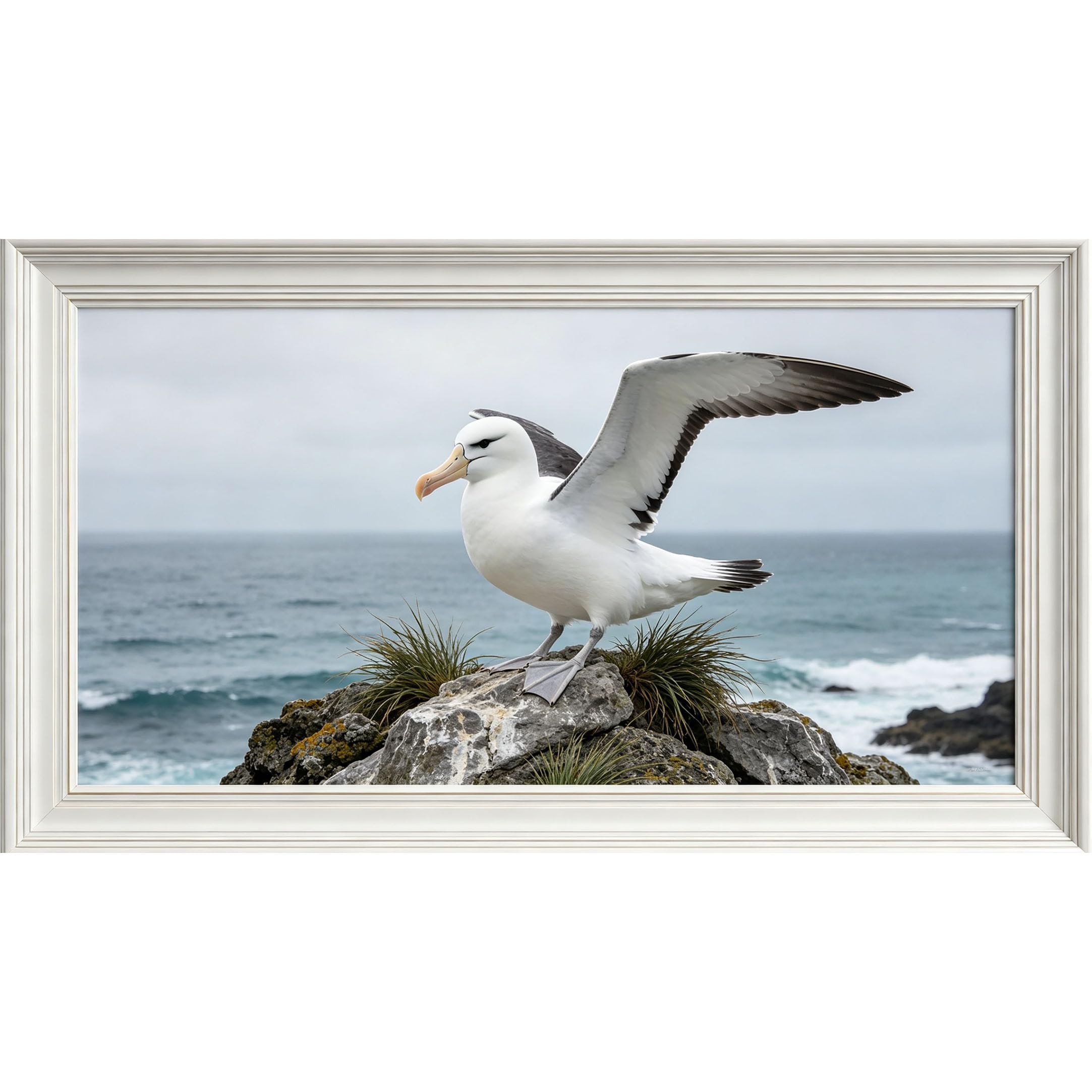QZLITHOTIC 50x90cm3D Framed Wall Art， Coastal Ocean Seabird on Rocky Shore Landscape Self‑Adhesive Mural， Water‑Activated Peel & Stick Fabric Decor Wall Decal for Bedroom Living Room