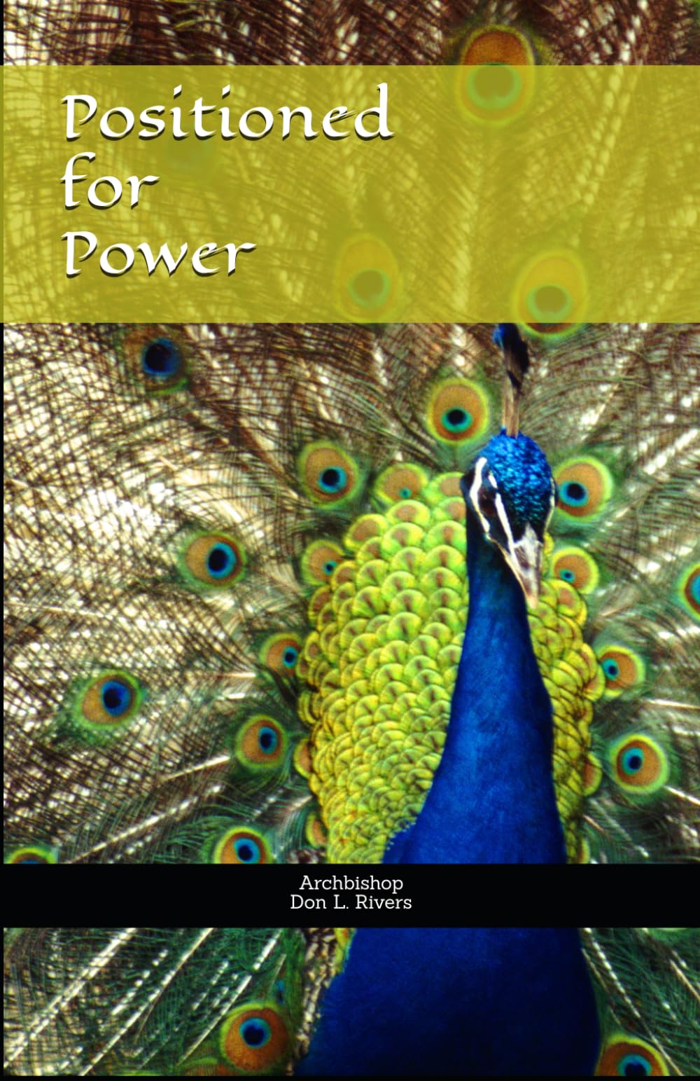 Positioned for Power