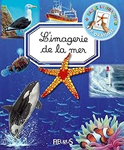 Download L'imagerie de la mer PDF