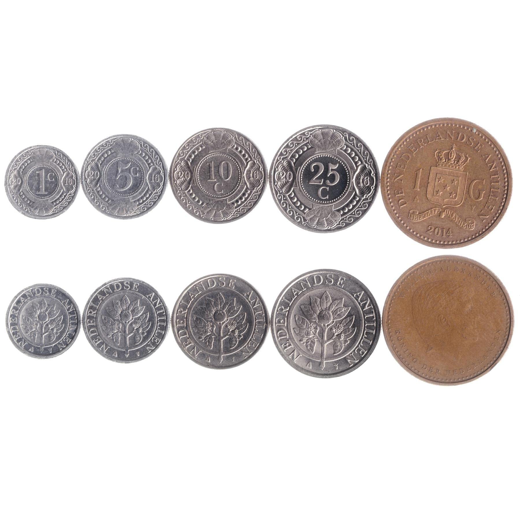 Amazon.com: 荷蘭安的列斯群島5 枚硬幣| 荷屬安的列斯群島硬幣套裝1 5 10 25 美分1 古爾登| 2014-2016 年流通|  威廉·亞歷山大| Orange Blossom : 藝術古董收藏