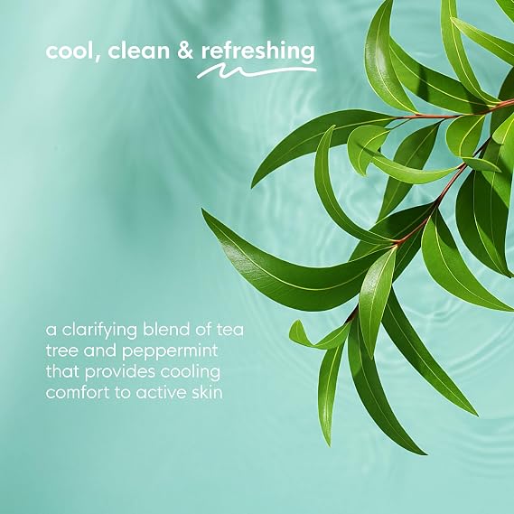 Muscle Freeze Roll On, Tea Tree Tingle, Vegan, Cold Pressed Formula with Shea Butter, Eucalyptus & Peppermint, Use on Neck, Knees & Joints, Post Workout Essential, 3 FL OZ