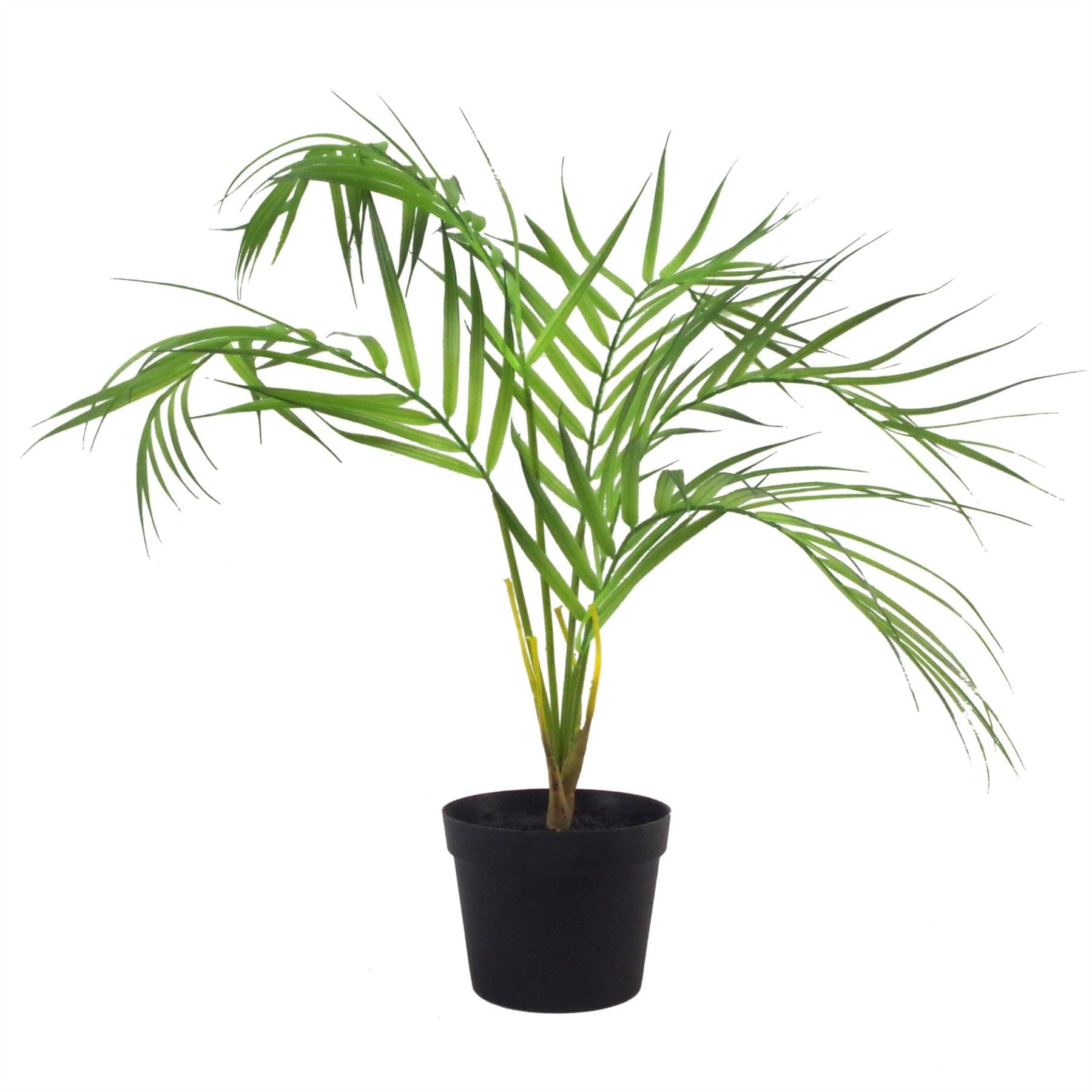 Leaf Artificial Palm Tree 50cm - Green/Black