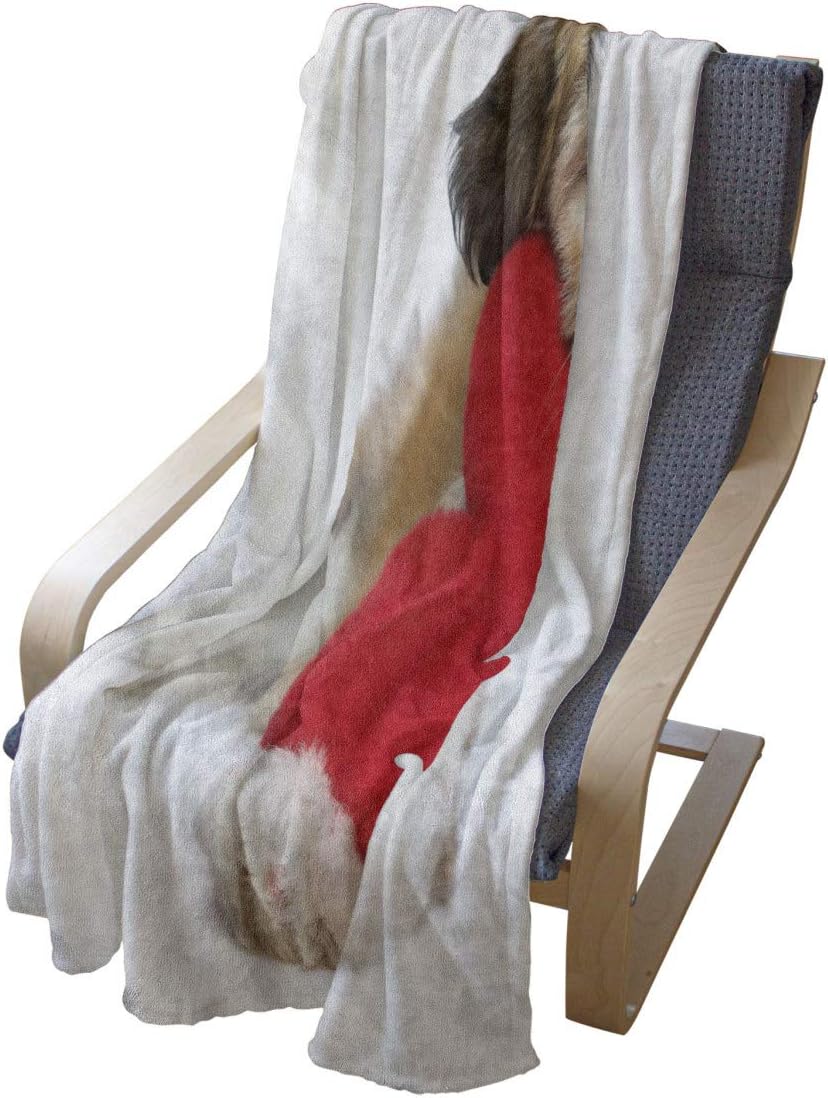 Lunarable Cartoon Throw Blanket, Lover Valentine Havanese Puppy Dog with a Red Heart Valentine's Day Theme, Flannel Fleece Accent Piece Soft Couch Cover for Adults, 50" x 60", Brown White Red