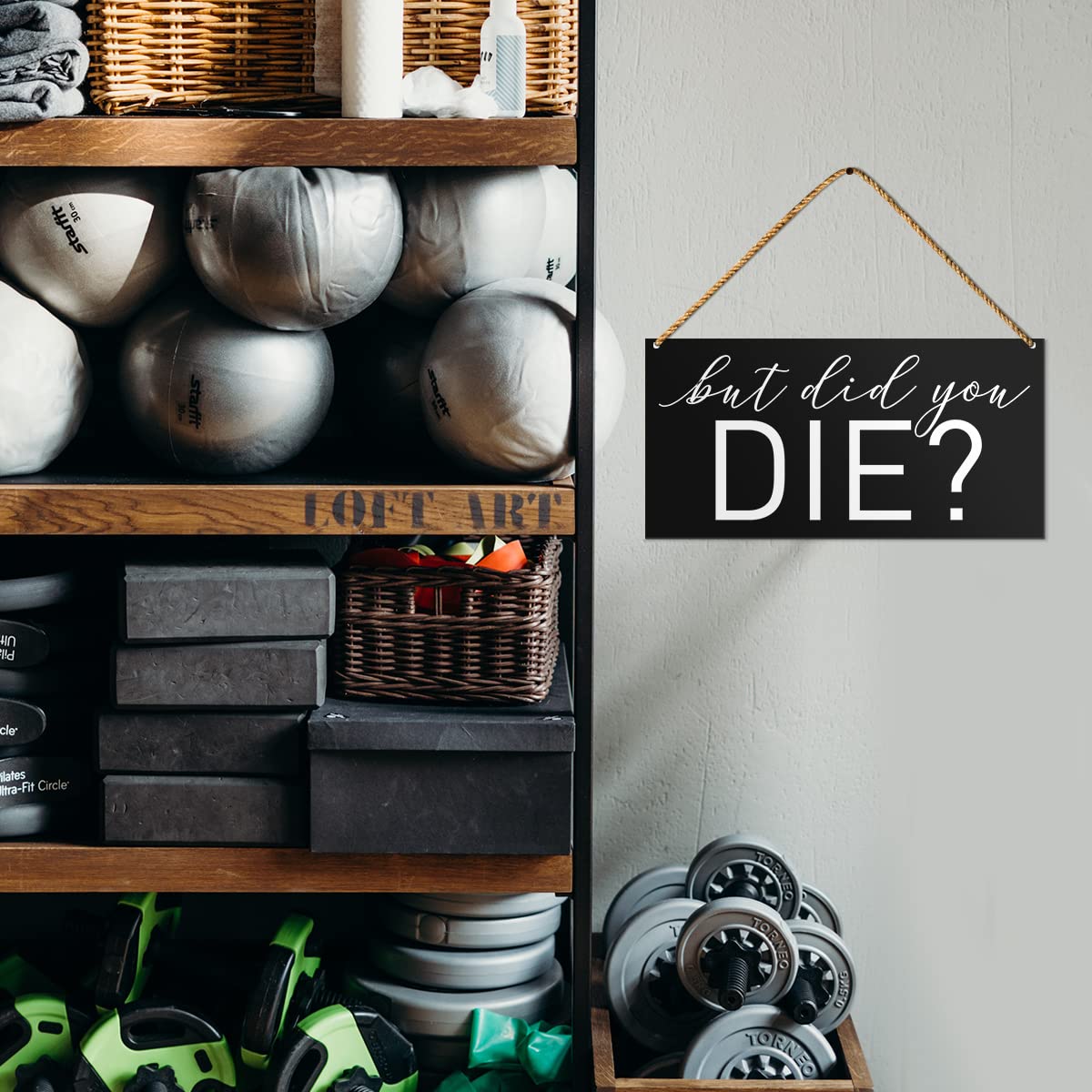 Bannière Motivation Gymnastique – But Did You Die – Art Mural – Damdekoli