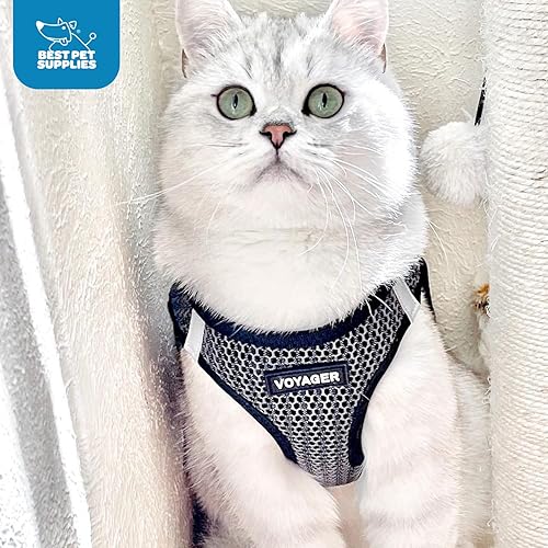 Vista 211 de Best Pet Supplies Voyager Step-in Air - Arnés de malla para todo tipo de clima, reflectante, antitirones, para perro y gato pequeño y mediano, Arnés