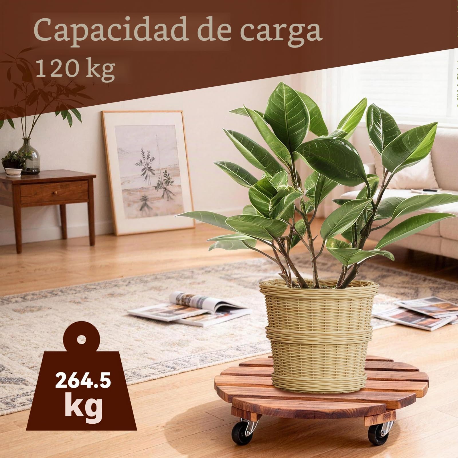 Juego de 2 Soportes para Plantas con Ruedas, Base Redonda de Madera de 30.5 cm, con Ruedas giratorias y bloqueables, Plantas Base Carretilla para Plantas, Interior Exterior Jardín Maceta