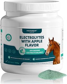 Electrolytes Powder with Apple Flavor Hydration Supplement Replenish Lost Electrolytes During Exercise - 840g