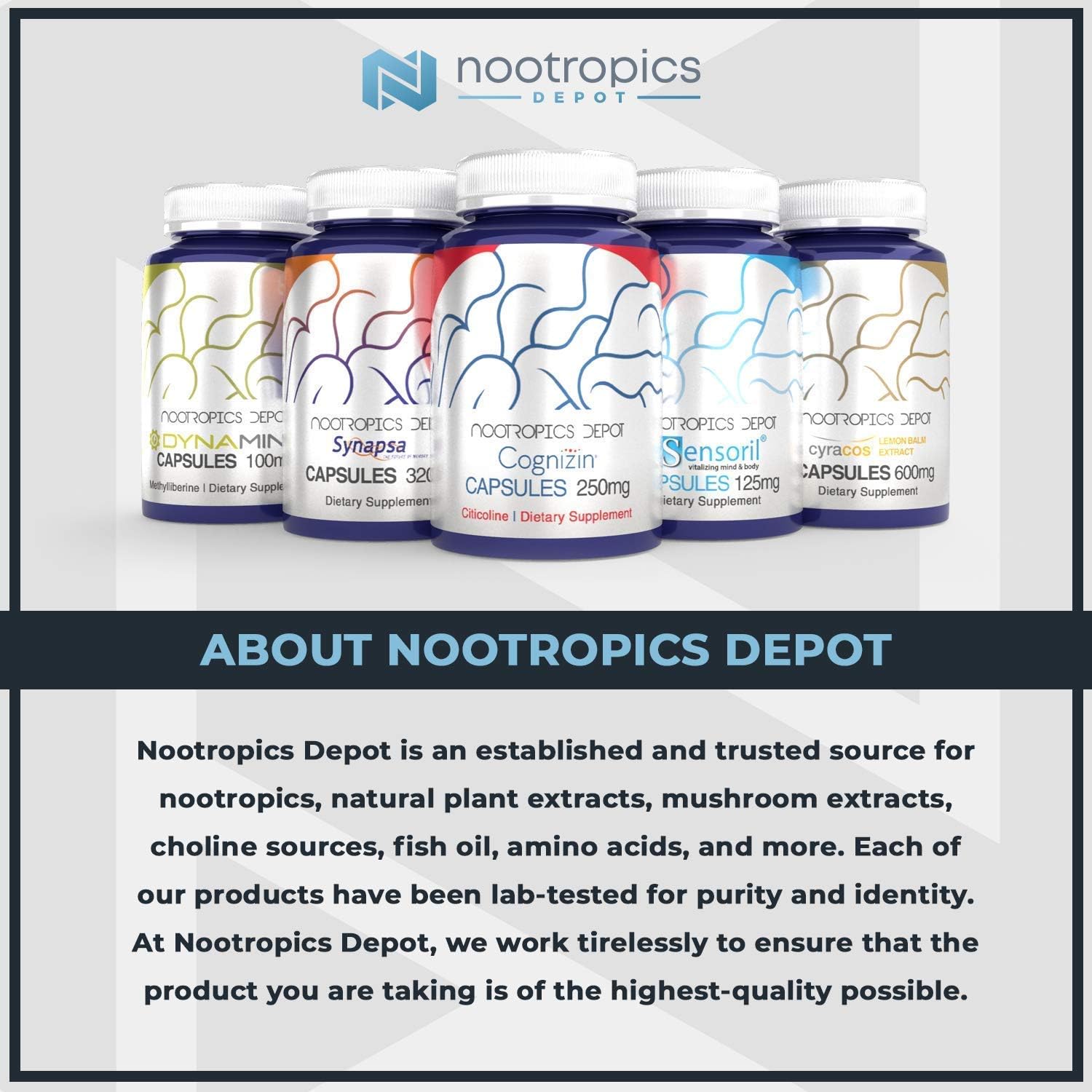 Nootropics Depot NKO™ Krill Oil Softgels | 500mg | 180 Count | Contains DHA + EPA and Astaxanthin | Omega 3 Supplement | Natural | Supports Cardiovascular + Joint Health
