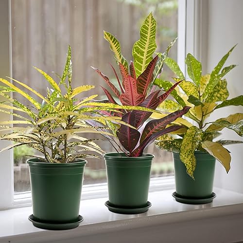 Vista 6 de Fasmov Juego de 10 macetas duraderas de 1 galón con 10 paletas a juego Verde