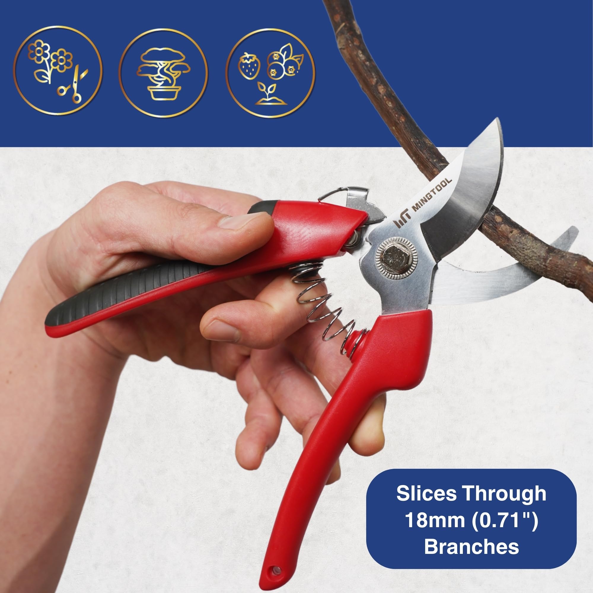 Professional Pruning Shears - 8 Inch Carbon Steel -4