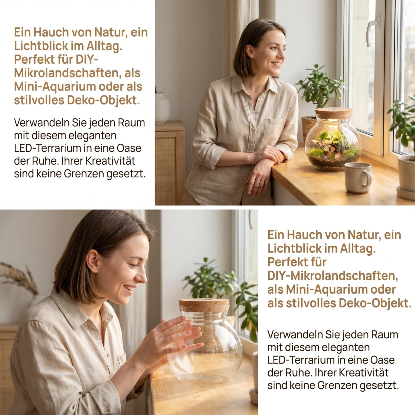 NUOBESTY Landschaftsflasche Tank Fisch Landschaftsbau Flasche Flasche Klare Vase Terrarium Led-Topf Glaswaren Sehr Glas Mit Deckel Mikrolandschaftshalter Hochwertiges